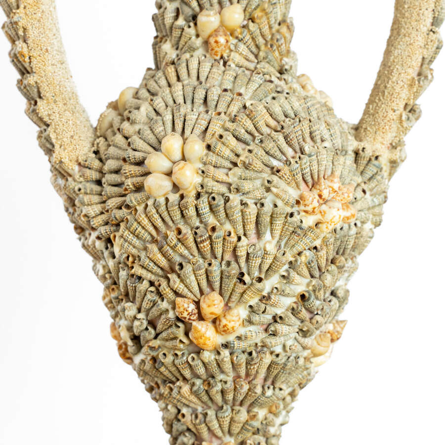 Decorative Objects