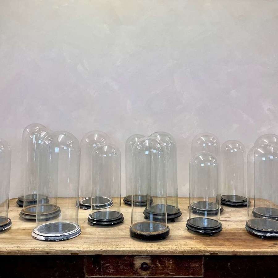 Hand blown Victorian glass display domes