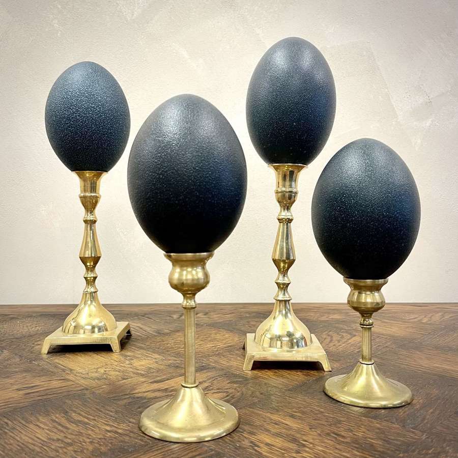 Pair of Large Mounted Emu Eggs