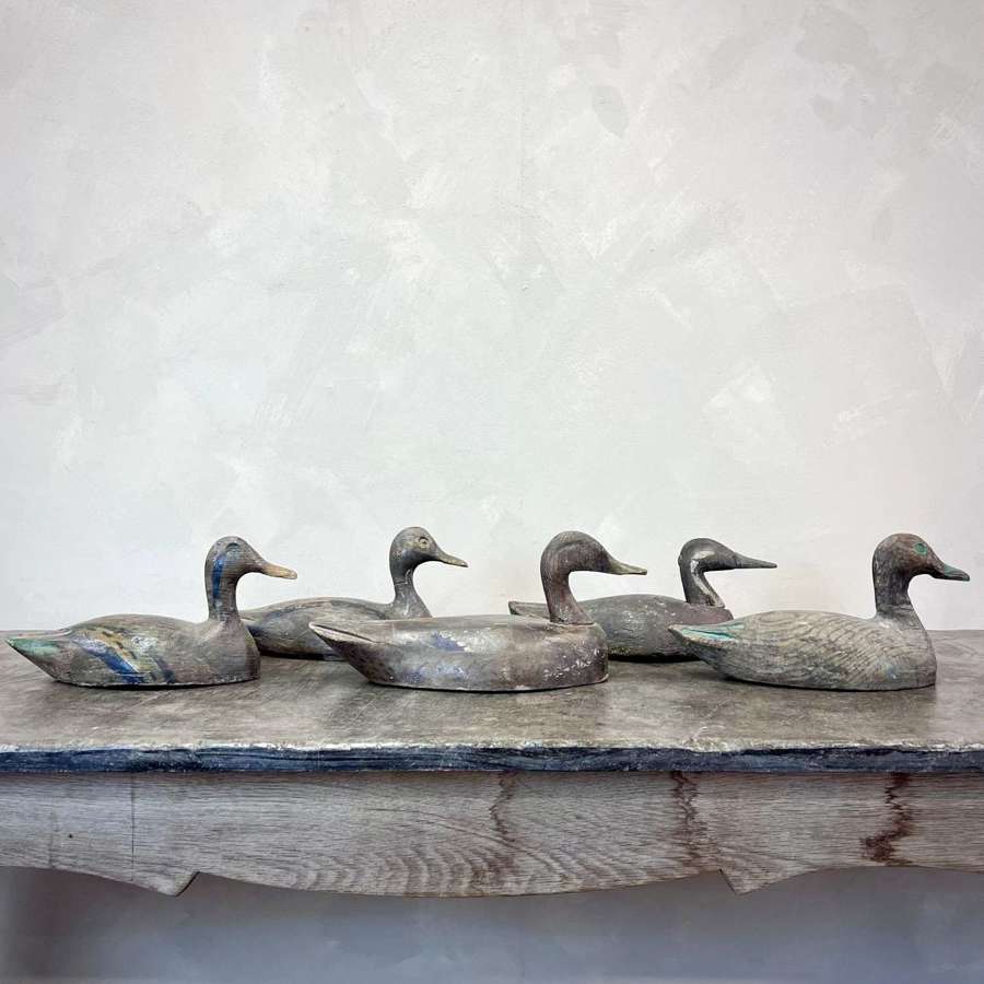 Set of 5 19th Century French Decoy Ducks