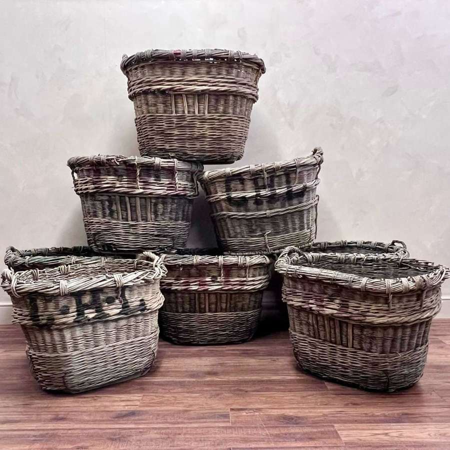 Large, French Champagne Baskets